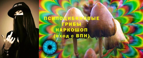 синтетический гашиш Богданович