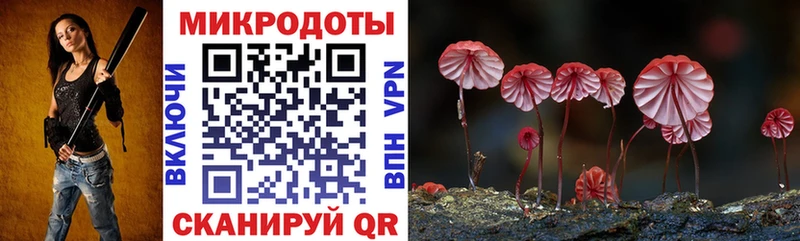 Галлюциногенные грибы Cubensis Хотьково